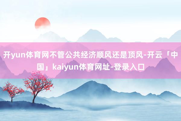 开yun体育网不管公共经济顺风还是顶风-开云「中国」kaiyun体育网址-登录入口