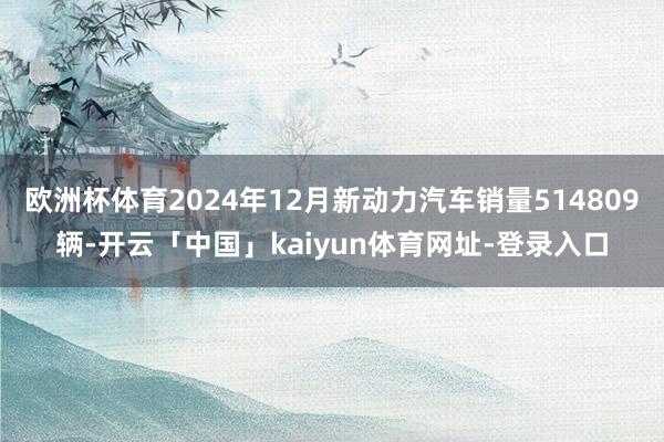 欧洲杯体育2024年12月新动力汽车销量514809辆-开云