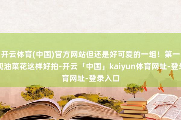 开云体育(中国)官方网站但还是好可爱的一组！第一次发现油菜花