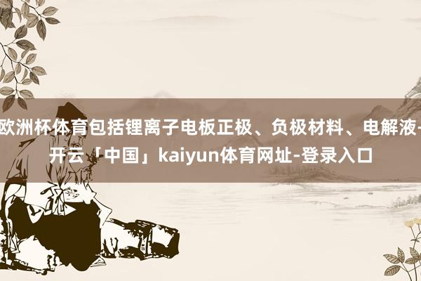 欧洲杯体育包括锂离子电板正极、负极材料、电解液-开云「中国」kaiyun体育网址-登录入口