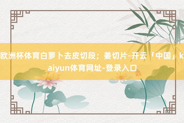 欧洲杯体育白萝卜去皮切段；姜切片-开云「中国」kaiyun体育网址-登录入口