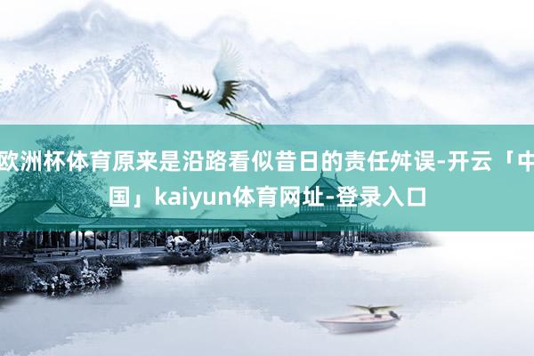 欧洲杯体育原来是沿路看似昔日的责任舛误-开云「中国」kaiy