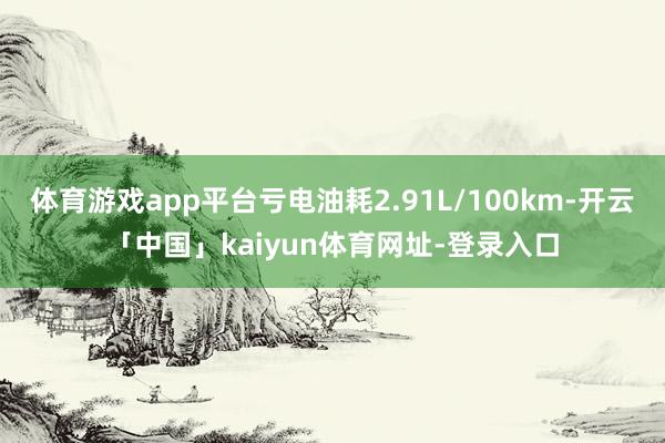 体育游戏app平台亏电油耗2.91L/100km-开云「中国