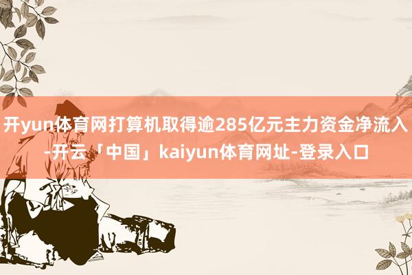 开yun体育网打算机取得逾285亿元主力资金净流入-开云「中