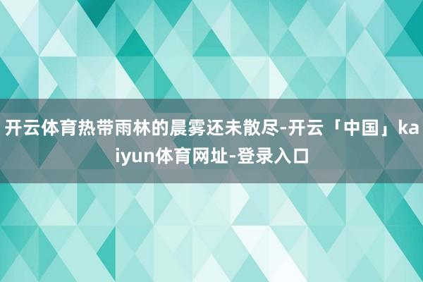 开云体育热带雨林的晨雾还未散尽-开云「中国」kaiyun体育网址-登录入口