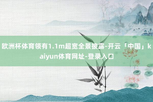 欧洲杯体育领有1.1m超宽全景披露-开云「中国」kaiyun体育网址-登录入口