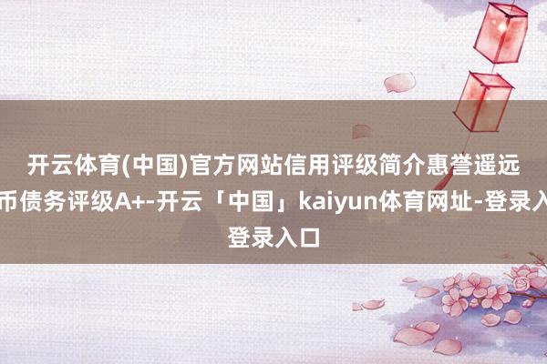 开云体育(中国)官方网站　　信用评级简介　　惠誉遥远外币债务