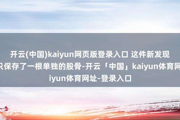 开云(中国)kaiyun网页版登录入口 这件新发现的标本诚然