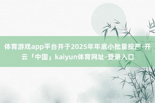体育游戏app平台并于2025年年底小批量投产-开云「中国」