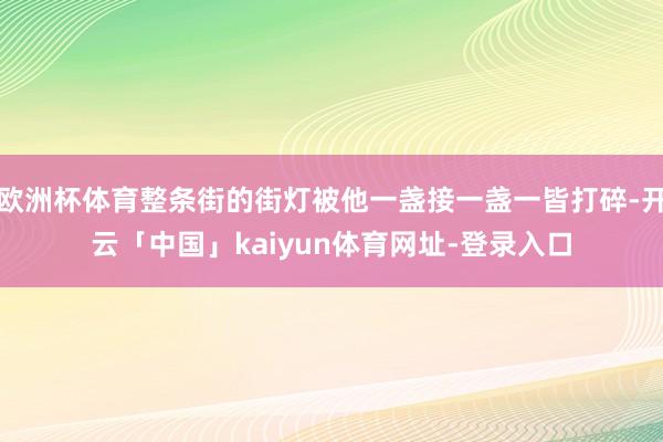 欧洲杯体育整条街的街灯被他一盏接一盏一皆打碎-开云「中国」k