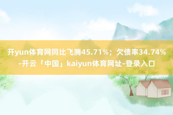 开yun体育网同比飞腾45.71%；欠债率34.74%-开云