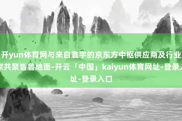 开yun体育网与来自寰宇的京东方中枢供应商及行业大家共聚皆鲁