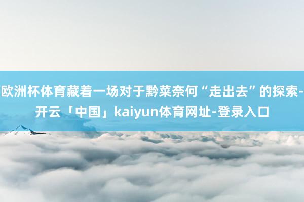 欧洲杯体育藏着一场对于黔菜奈何“走出去”的探索-开云「中国」kaiyun体育网址-登录入口