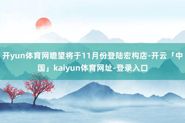 开yun体育网瞻望将于11月份登陆宏构店-开云「中国」kai