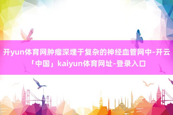 开yun体育网肿瘤深埋于复杂的神经血管网中-开云「中国」kaiyun体育网址-登录入口