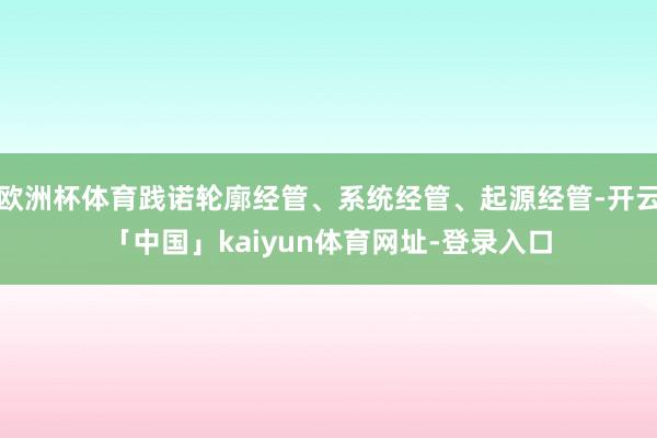 欧洲杯体育践诺轮廓经管、系统经管、起源经管-开云「中国」kaiyun体育网址-登录入口
