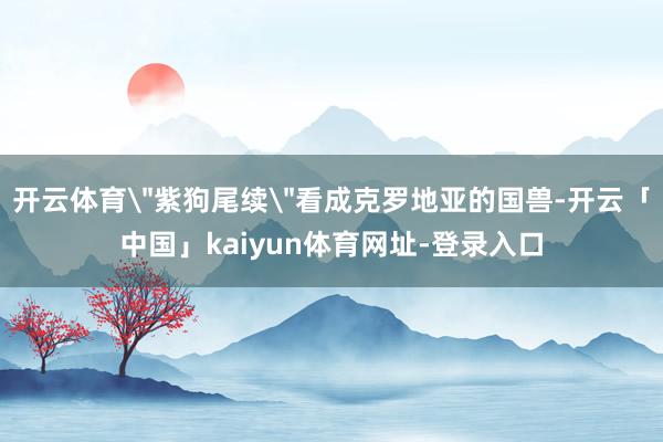 开云体育