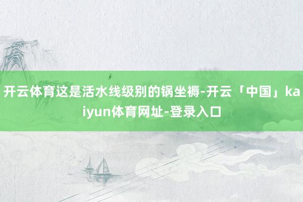 开云体育这是活水线级别的锅坐褥-开云「中国」kaiyun体育网址-登录入口