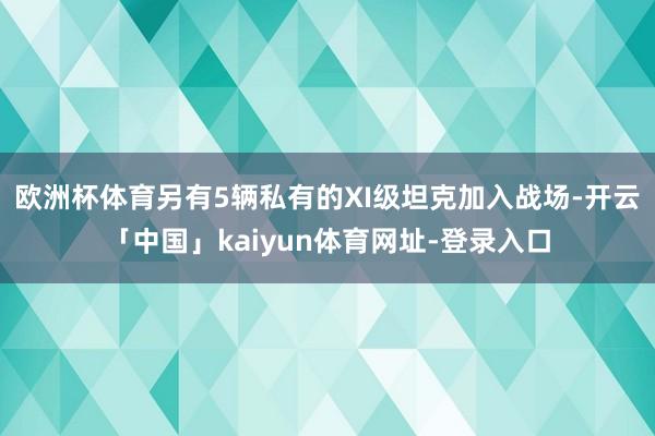 欧洲杯体育另有5辆私有的XI级坦克加入战场-开云「中国」ka
