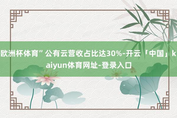 欧洲杯体育”公有云营收占比达30%-开云「中国」kaiyun